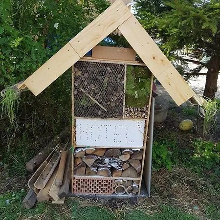 Prirodni Dum V Duchu Velryby Kamenne Zbozi