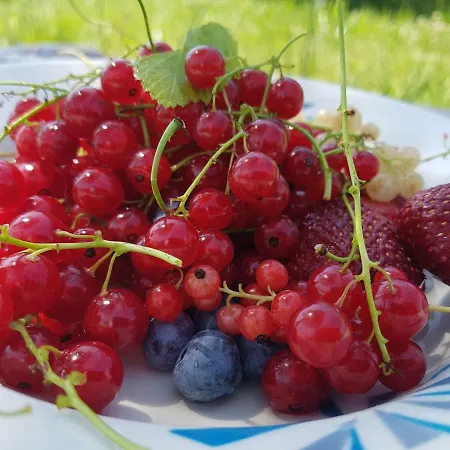 Pensjonat Prirodni Dum V Duchu Velryby